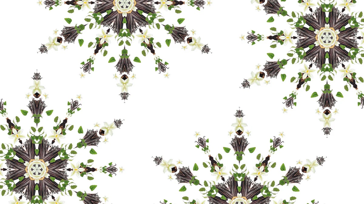 Detailní motiv vůně Vanilla Magnificence od Maison Berger Paris