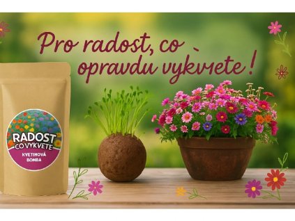 Květinová bomba Radost co vykvete – originální dárkové balení s květy v květináči