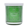 Zelená trblietavá vonná sviečka DW Home Christmas Sparkle, stredná – vianočná vôňa jedle, borovice a škorice