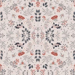 🎄 Vánoční dárek k nákupu nad 1 000 Kč! 🌱✨ Letos může Váš vánoční dárek opravdu vyrůst. Ke každé objednávce nad 1 000 Kč od...