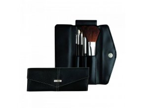 davinci basic set with 5 brushes 4822