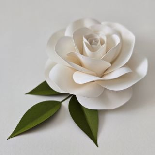 Čistá krása z papíru 🌸 #magnetka #trebaproucitelku