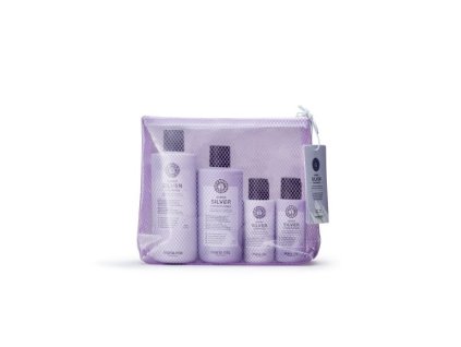 Maria Nila Sheer Silver Beauty Bag
