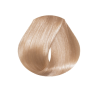 EVO hue.verse permanent colour
