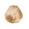 EVO hue.verse permanent colour