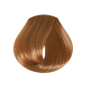 EVO hue.verse permanent colour