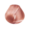 EVO hue.verse permanent colour