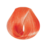 EVO hue.verse permanent colour