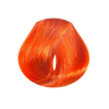 EVO hue.verse permanent colour