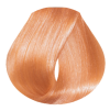 EVO hue.verse permanent colour