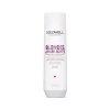 Goldwell Dualsenses Blondes & Highlights Anti-Yellow Shampoo 250ml