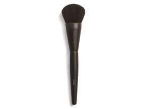 CheekBrush
