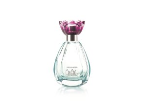 mary kay Enchanted Wish