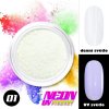 Pyl na zdobení nehtů NEON UV pigment 01