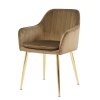 Židle AUSTIN VELUR - SET - hnědá
