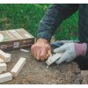 beavercraft polotovar BW16 wood carving blocks 16pcs 11