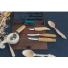 beavercraft S43book spoon kusa profi set book rezbarska sada 11