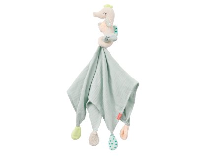 Muchláček morský koník, ChildernOfTheSea