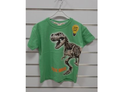 Chlapčenské tričko T-REX WORLD / v tme svieti