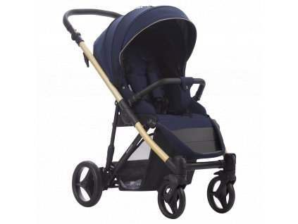 Rainbow Gold 02 2