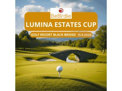 Lumina 15.9