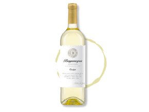 BAYANEGRA VERDEJO 2023 - White wine - Espaňol