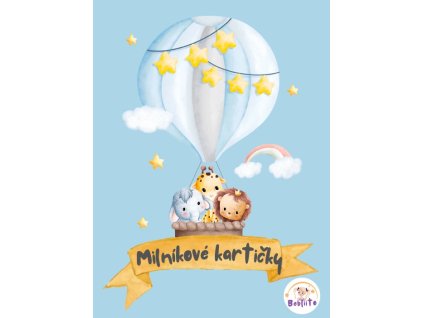 Snímek obrazovky 2025 03 30 133642