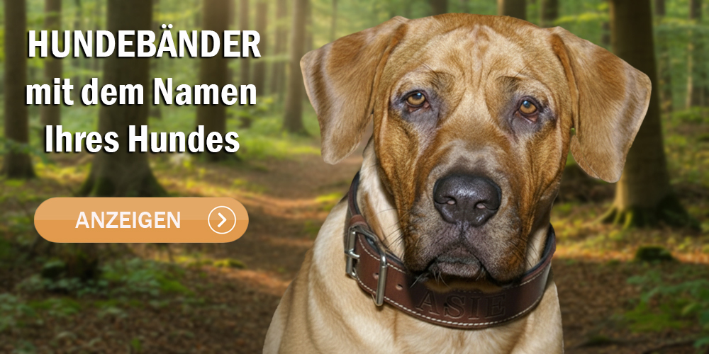 Lederhalsbänder mit dem Namen des Hundes
