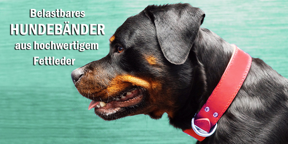 Halsbänder aus Fettleder