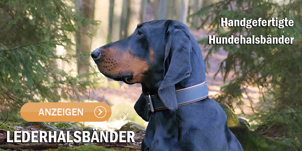 Handgefertigte Lederhalsbänder für Hunde
