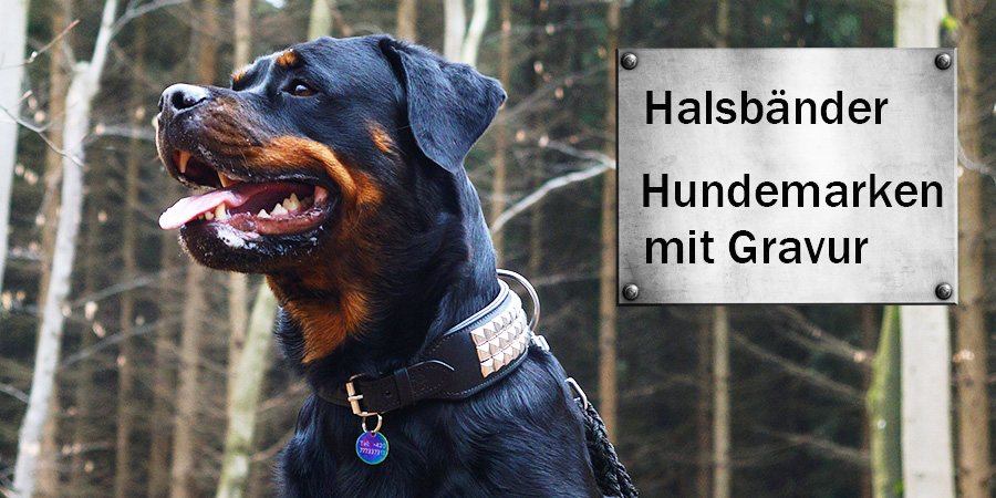 Halsbänder, Hundemarken mit Gravur