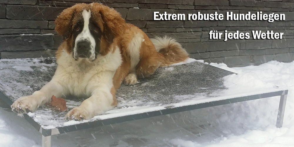 Anadihundeliege mit Kirill