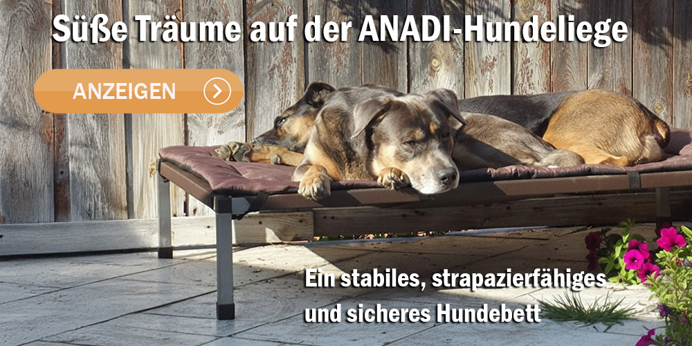 Süße Träume auf der ANADI-Hundeliege