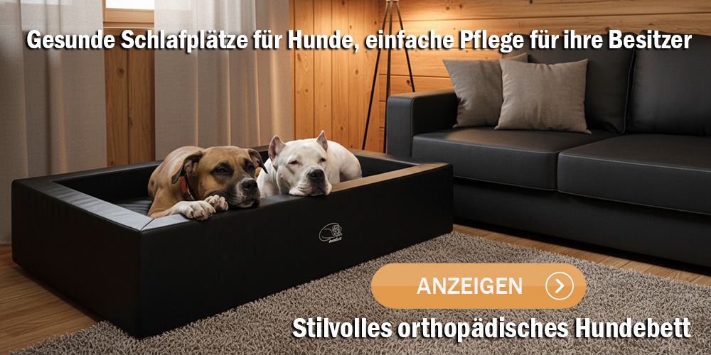 Orthopädisches Hundebett Royal