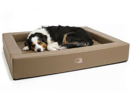 pelech royal bezovy australak web