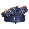 Modre orez web sv