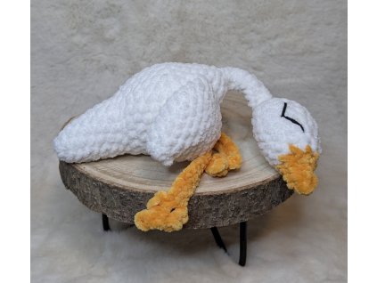 PXL 20250827 084352139