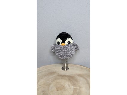 PXL 20250904 064921231