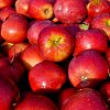 jablka red prince obr