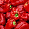 paprika červená obr