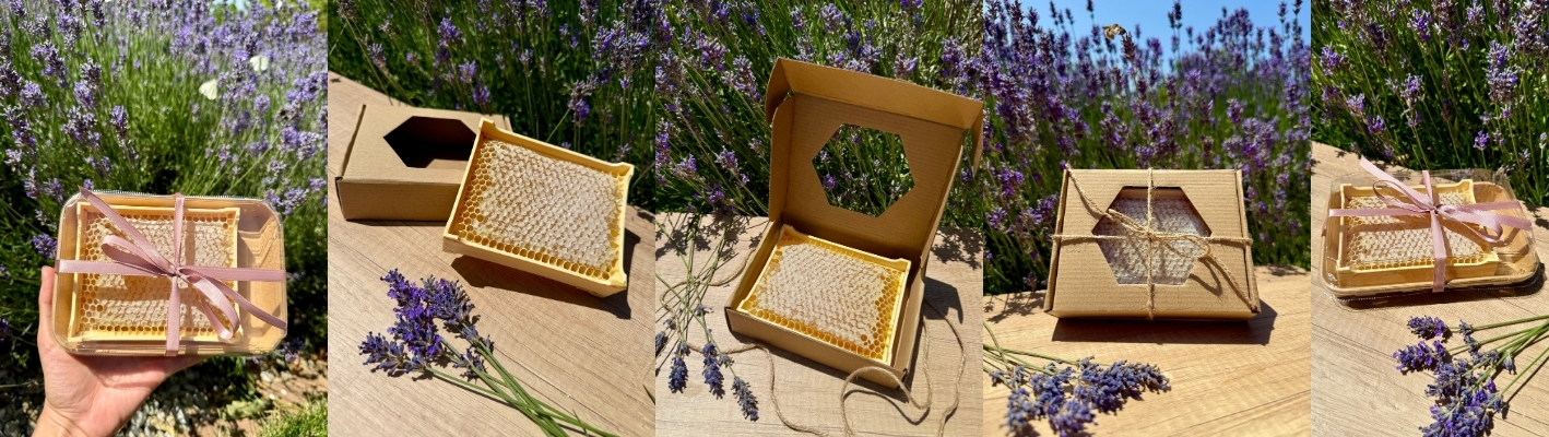 Detail plástikového medu s pravidelnými voskovými bunkami plnými zlatistého, čerstvého medu. Prírodný, surový med priamo z úľa – ideálny výsledok pri použití sady na produkciu plástikového medu.