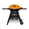 beefeater gril bigg bugg amber 1