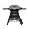 beefeater gril bigg bugg green 1