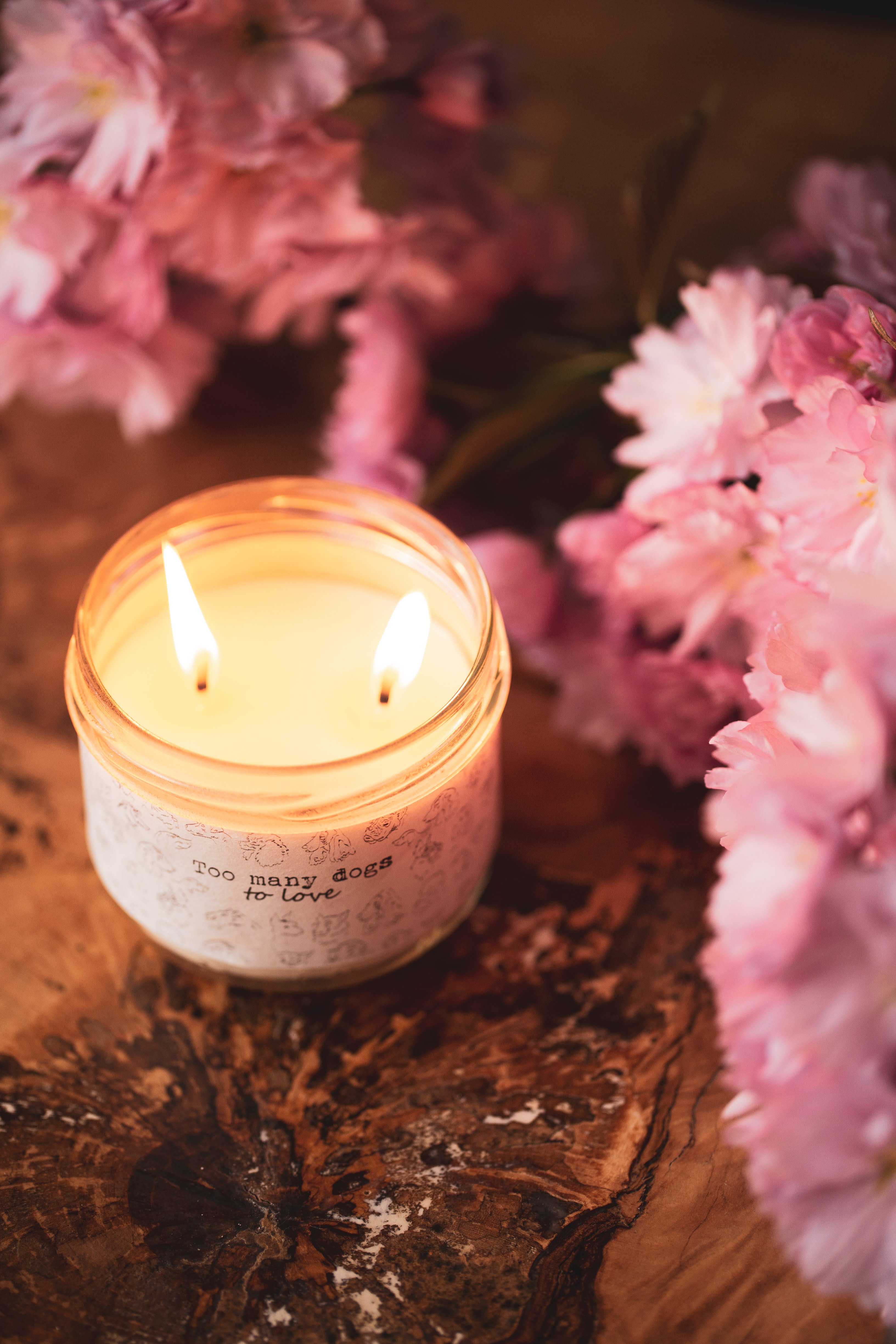 Jak vznikaly psí svíčky? Pohled do zákulisí I