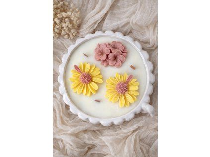 WhatsApp Image 2026 03 29 at 22.26.42