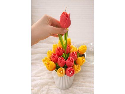 WhatsApp Image 2026 04 03 at 10.12.06