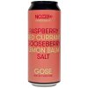 NOZIB - GOSETERIA #5 Raspberry + Red Currant + Gooseberry + Lemon Balm + Salt 0,5l can 4,5% alc.