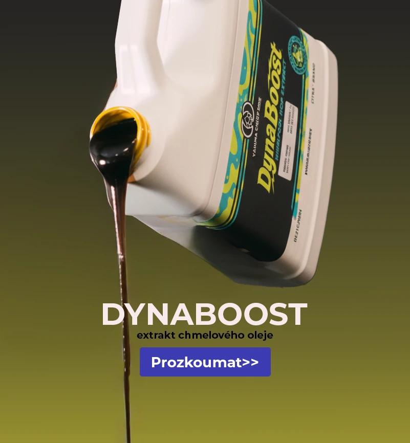 Dynaboost