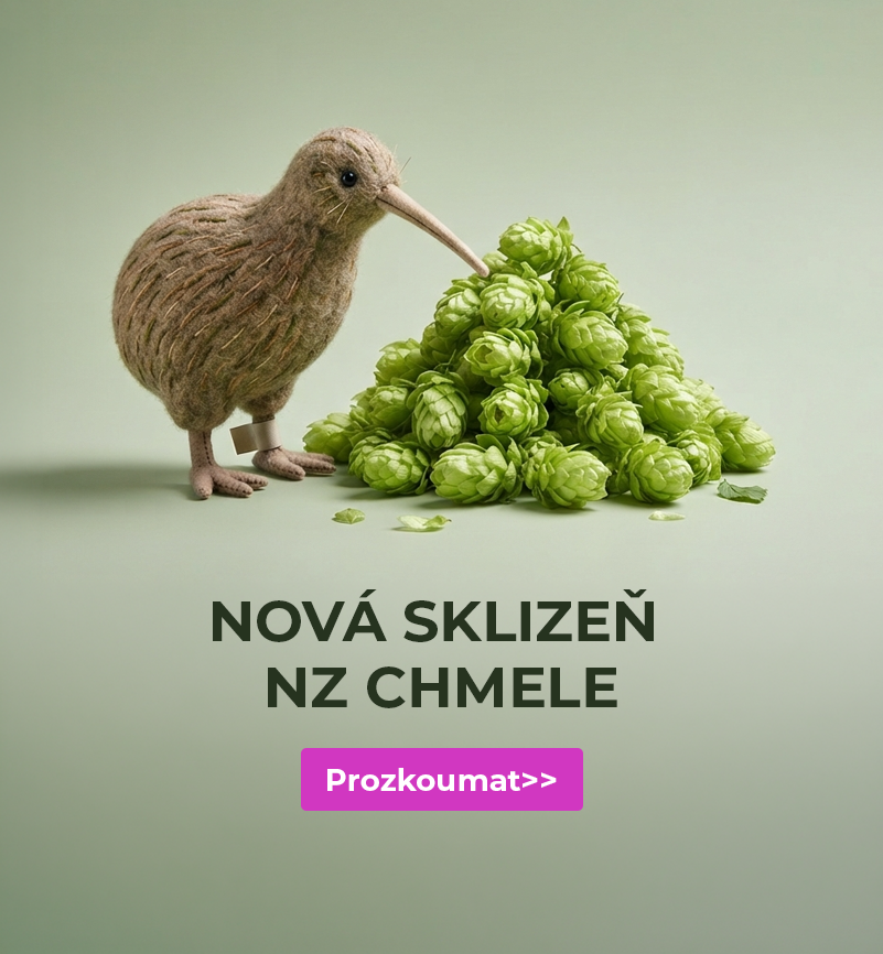 NZ chmel 26