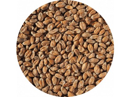 Malt Single Wheat Malt 796 x 796